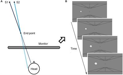 Subliminal Impending Collision Increases Perceived Object Size and Enhances Pupillary Light Reflex